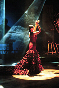 *Flamenco in Spain